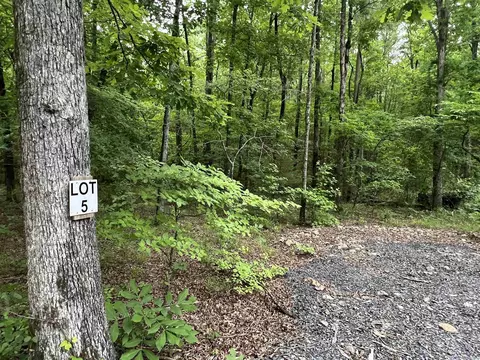 310 Cathedral Pines Ln, Mena, AR 71953