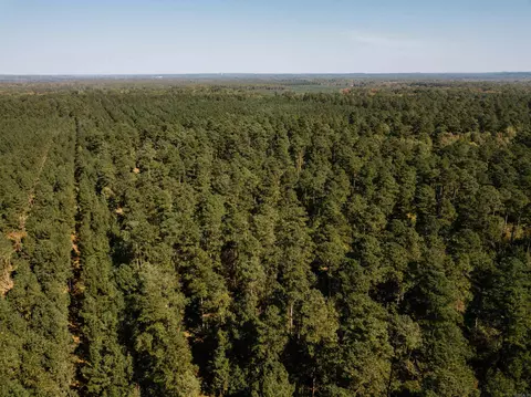 000 Opitz Rd, Haskell, AR 72015 photo 30