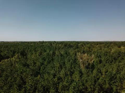 000 Opitz Rd, Haskell, AR 72015 photo 4