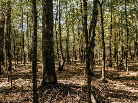 000 Opitz Rd, Haskell, AR 72015 photo 35