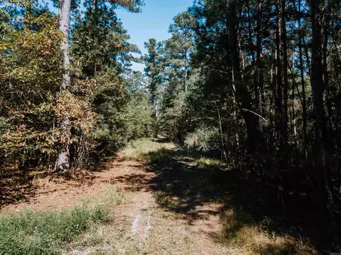 000 Opitz Rd, Haskell, AR 72015 photo 14