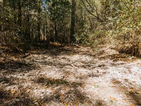 000 Opitz Rd, Haskell, AR 72015 photo 21