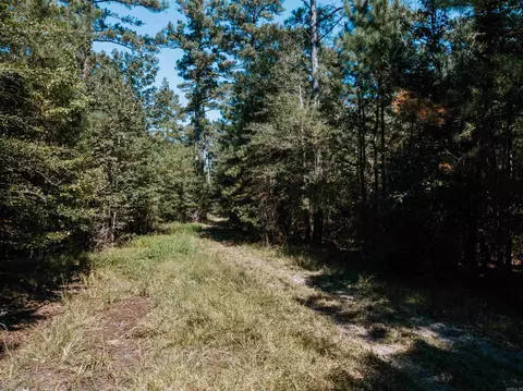 000 Opitz Rd, Haskell, AR 72015 photo 15