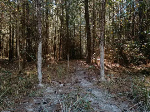 000 Opitz Rd, Haskell, AR 72015 photo 9