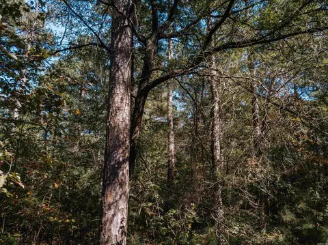000 Opitz Rd, Haskell, AR 72015 photo 11