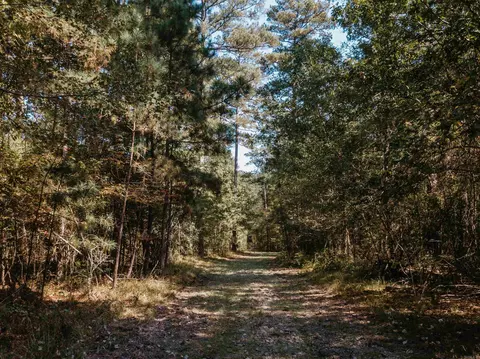 000 Opitz Rd, Haskell, AR 72015 photo 5