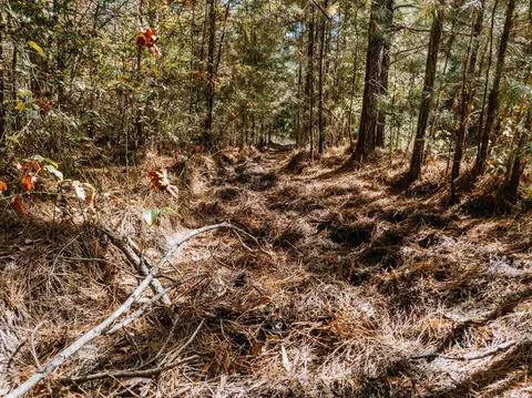 000 Opitz Rd, Haskell, AR 72015 photo 20