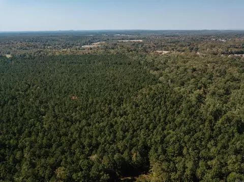 000 Opitz Rd, Haskell, AR 72015 photo 2