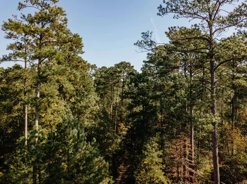 000 Opitz Rd, Haskell, AR 72015 photo 28