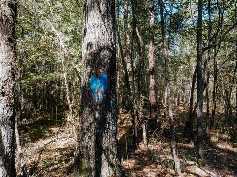 000 Opitz Rd, Haskell, AR 72015 photo 13