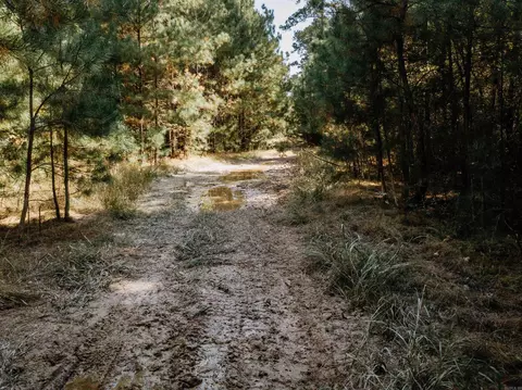 000 Opitz Rd, Haskell, AR 72015 photo 22