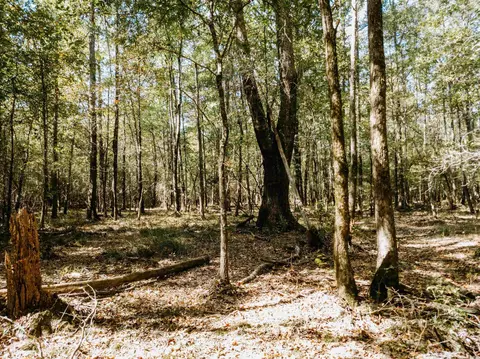 000 Opitz Rd, Haskell, AR 72015 photo 36