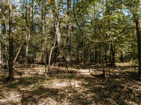 000 Opitz Rd, Haskell, AR 72015 photo 34