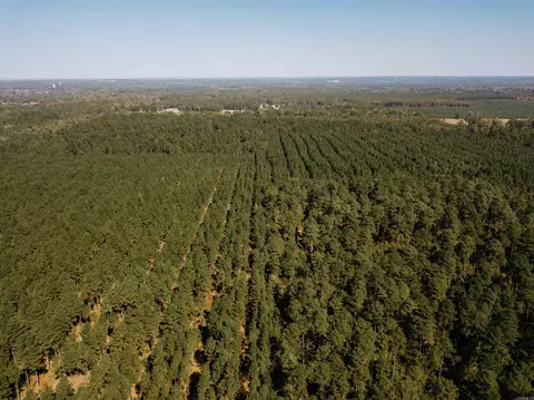 000 Opitz Rd, Haskell, AR 72015 photo 31