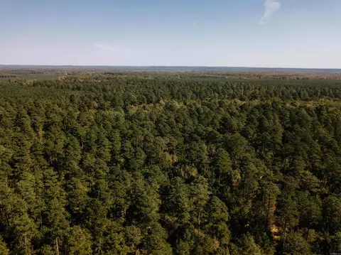 000 Opitz Rd, Haskell, AR 72015 photo 26