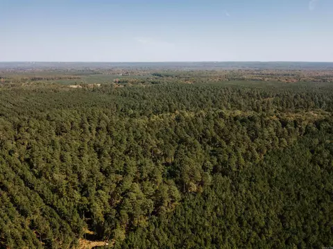 000 Opitz Rd, Haskell, AR 72015 photo 29
