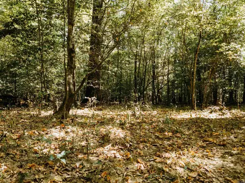 000 Opitz Rd, Haskell, AR 72015 photo 38