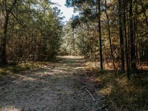 000 Opitz Rd, Haskell, AR 72015 photo 6