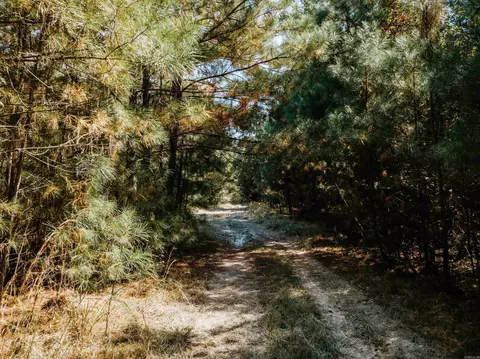 000 Opitz Rd, Haskell, AR 72015 photo 24