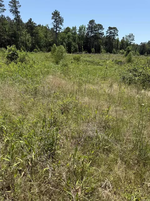 tbd Hempstead 48, Columbus, AR 71831 photo 8