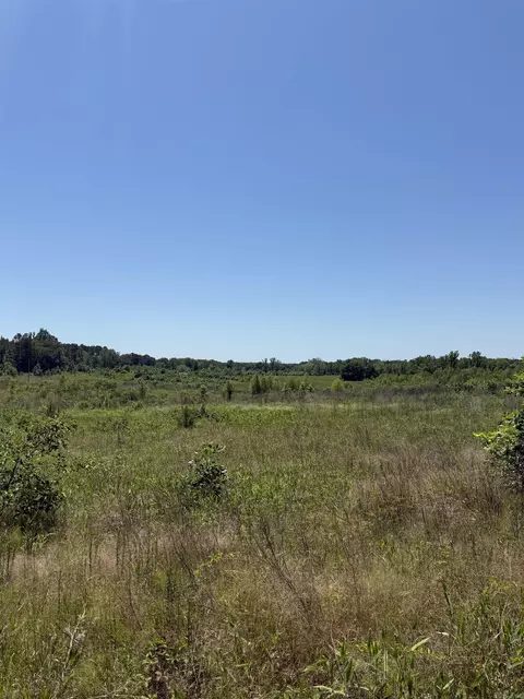 tbd Hempstead 48, Columbus, AR 71831 photo 9