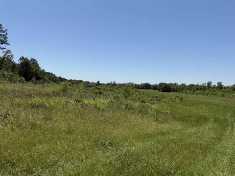 tbd Hempstead 48, Columbus, AR 71831 photo 3