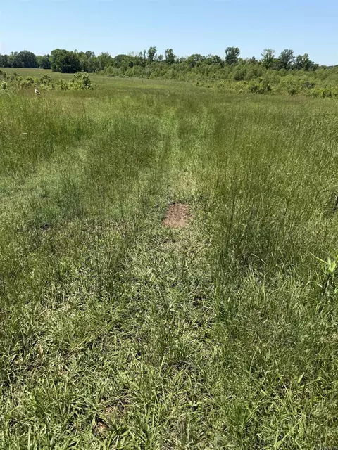 tbd Hempstead 48, Columbus, AR 71831 photo 6