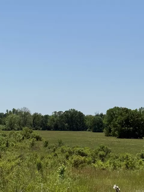 tbd Hempstead 48, Columbus, AR 71831 photo 5