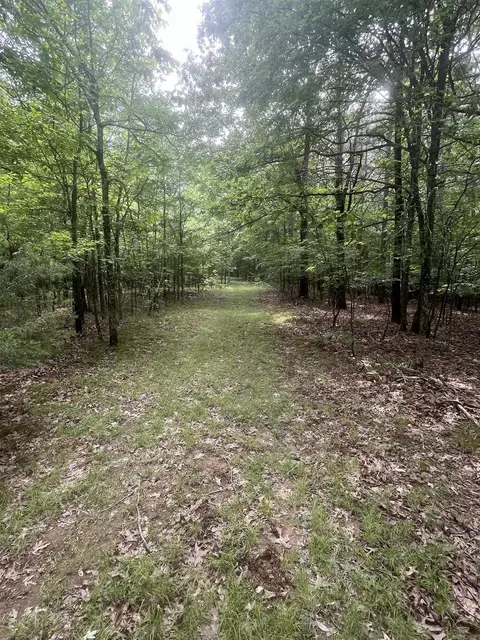 83 Acres Greene 402 Rd, Lafe, AR 72443