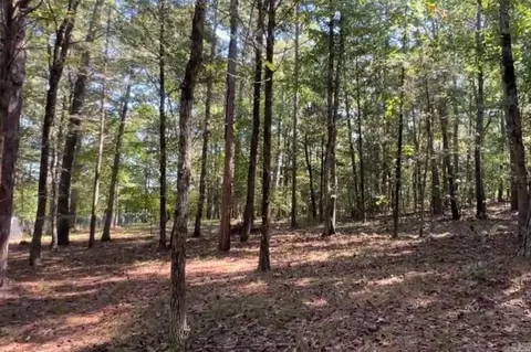 1535 Klondike Rd, Clinton, AR 72031 photo 3