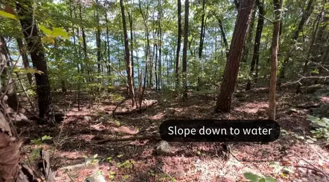 1535 Klondike Rd, Clinton, AR 72031 photo 8