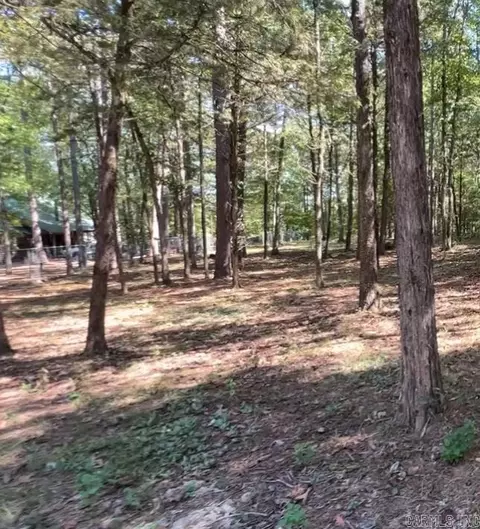 1535 Klondike Rd, Clinton, AR 72031 photo 11