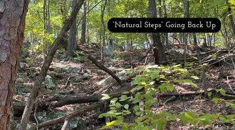 1535 Klondike Rd, Clinton, AR 72031 photo 9