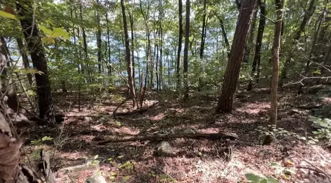 1535 Klondike Rd, Clinton, AR 72031 photo 17