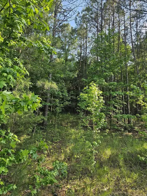 lot21 Unk April Ln, Wickes, AR 71973 photo 6
