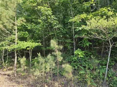 lot21 Unk April Ln, Wickes, AR 71973 photo 5