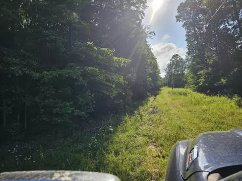 lot21 Unk April Ln, Wickes, AR 71973 photo 3