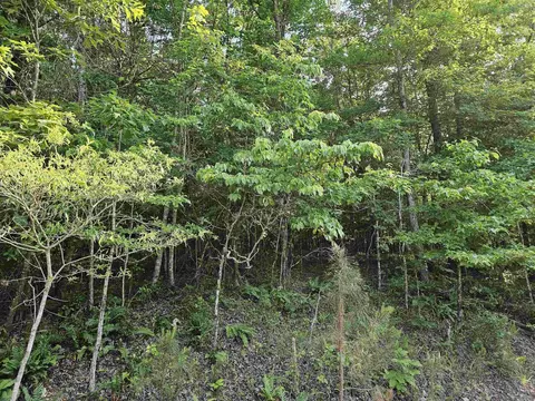 lot21 Unk April Ln, Wickes, AR 71973 photo 4