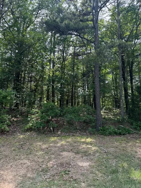 lot91 Block 15 Dave Creek Pkwy, Fairfield Bay, AR 72088