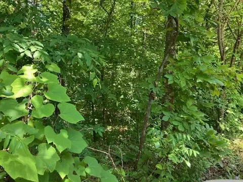 lot S 6 7 Hillview Addition, Mammoth Spring, AR 72554