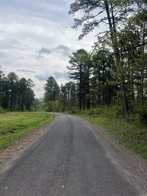 Clinton Lynch Rd Lot #1, Clinton, AR 72013