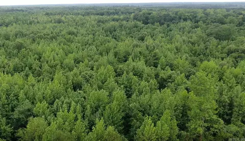 Rowell Rd, Rowell, AR 71665