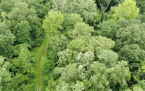 Rowell Rd, Rowell, AR 71665 photo 12