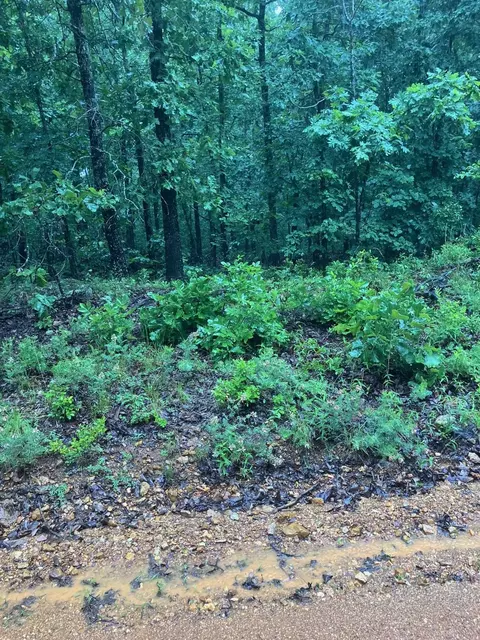 Newman Trail, Williford, AR 72482