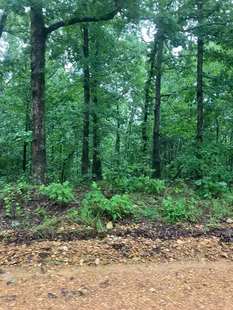 000 Newman Trl, Williford, AR 72482