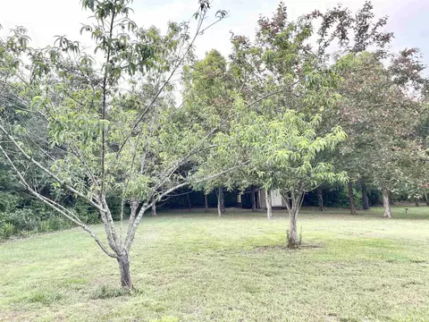 80 Doe Run Cir, Salem, AR 72576 photo 35
