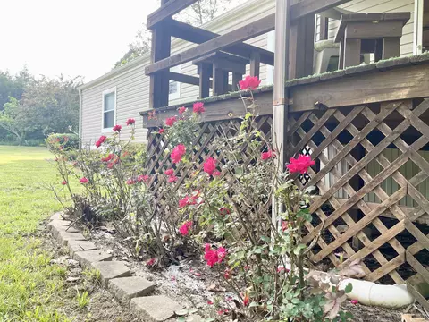 80 Doe Run Cir, Salem, AR 72576 photo 37
