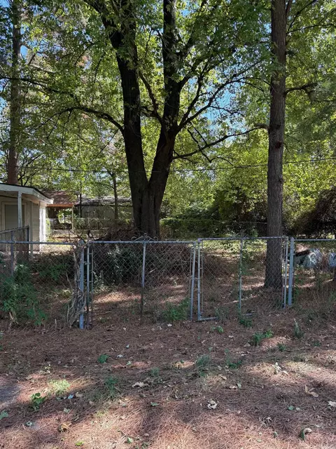 310 W Ruby St, Paragould, AR 72450 photo 31