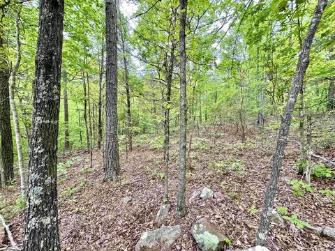 685 Kennedy Rd, Leslie, AR 72645 photo 24