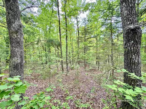 685 Kennedy Rd, Leslie, AR 72645 photo 30